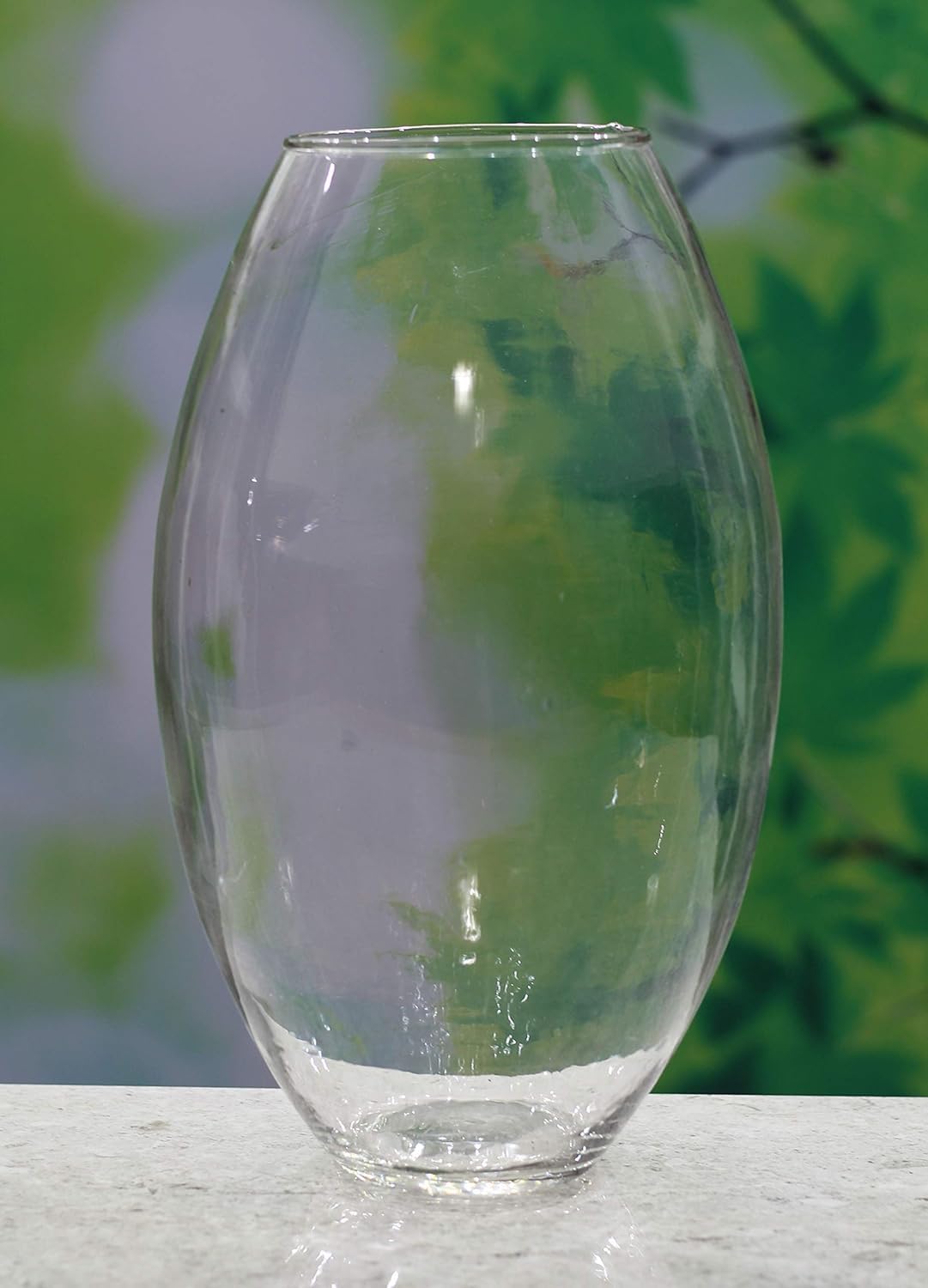 Zest Oval Glass Vase - Transparent Flower Vase for Home Decoration Items for Living Room 8 inc, Unique Aesthetic Design, Center Table, Home, Cafe and Office