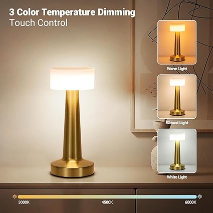Zest Portable LED Table Lamp for Bedroom and Living Room, Stepless Dimming, 3 Colour Touch Control Metallic Finish Rechargeable Battery Backup Nigh table lamp