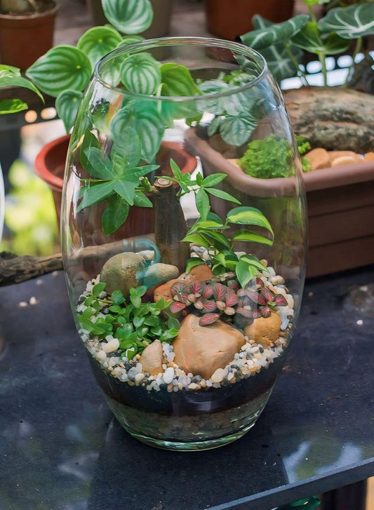 Zest Oval Glass Vase - Transparent Flower Vase for Home Decoration Items for Living Room 8 inc, Unique Aesthetic Design, Center Table, Home, Cafe and Office