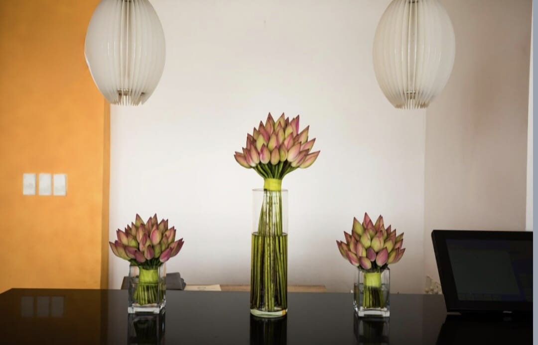 Home Decor