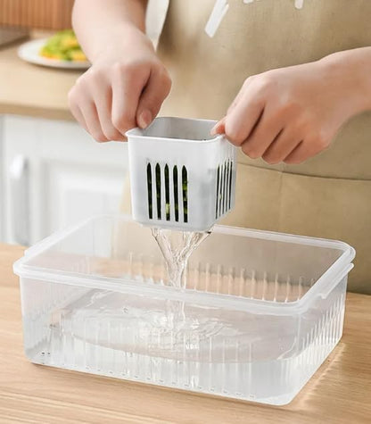 Zest Fridge Storage Box Set | Plastic Freezer & Kitchen Organizer Containers