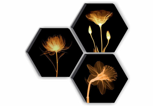 Zest SAF Set of 3 Hexagon Preety Brown Floral UV Textured MDF, Home Decorative Gift Item Painting 17 Inch X 17 Inch SANFHX15SMALL