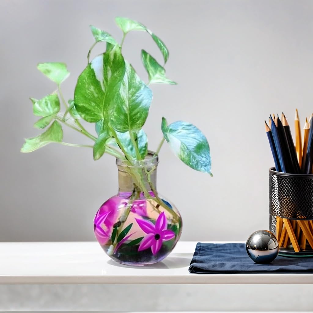 Zest HANDICRAFTS Round Glass Vase, for Money Plant, Lucky Bamboo Plant, Flower Pot, 12X10 cm Elegant Flower Designed Vase and Clear