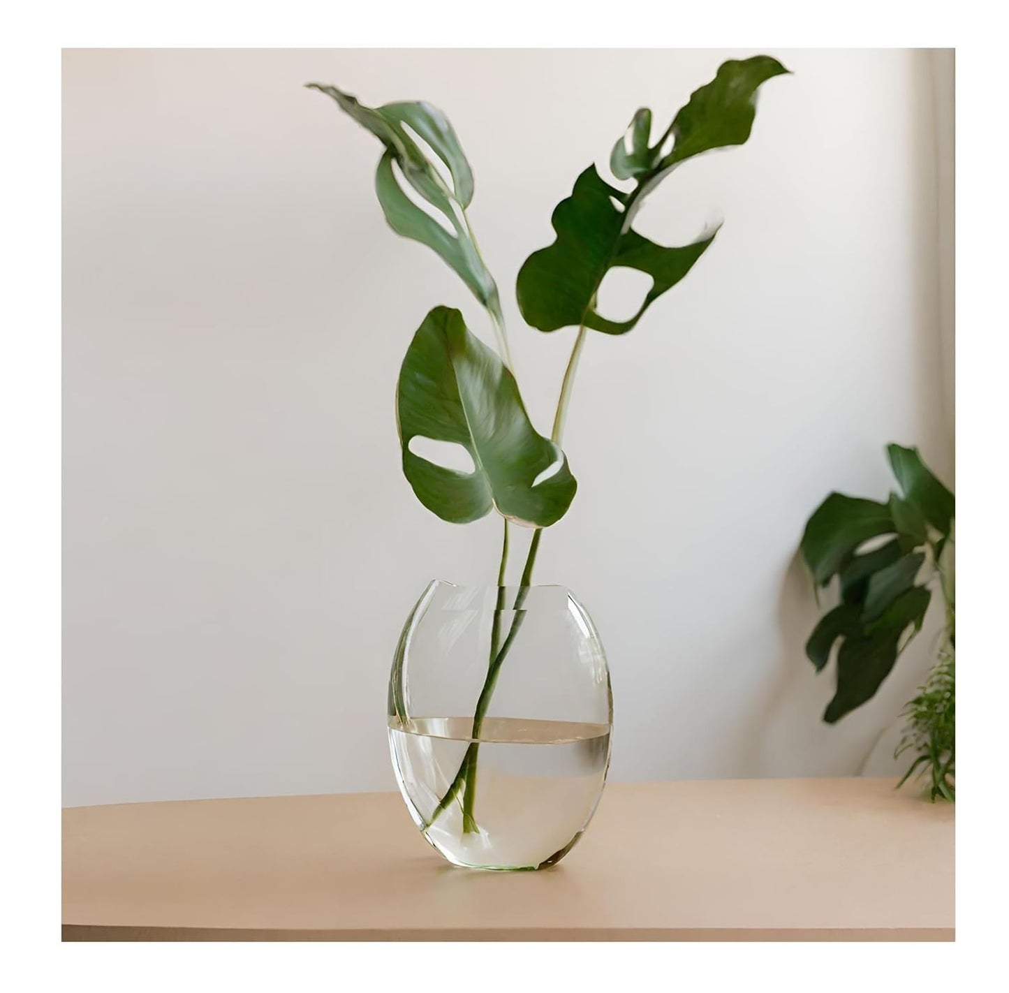 Zest Oval Glass Vase - Transparent Flower Vase for Home Decoration Items for Living Room 8 inc, Unique Aesthetic Design, Center Table, Home, Cafe and Office