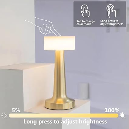 Zest Portable LED Table Lamp for Bedroom and Living Room, Stepless Dimming, 3 Colour Touch Control Metallic Finish Rechargeable Battery Backup Nigh table lamp